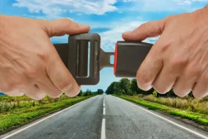 Bezbednost saobraćaja na putevima